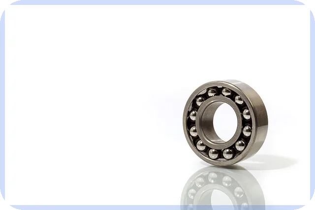 다스코주가 효과와 위험성 완벽 분석 무엇이 중요한가