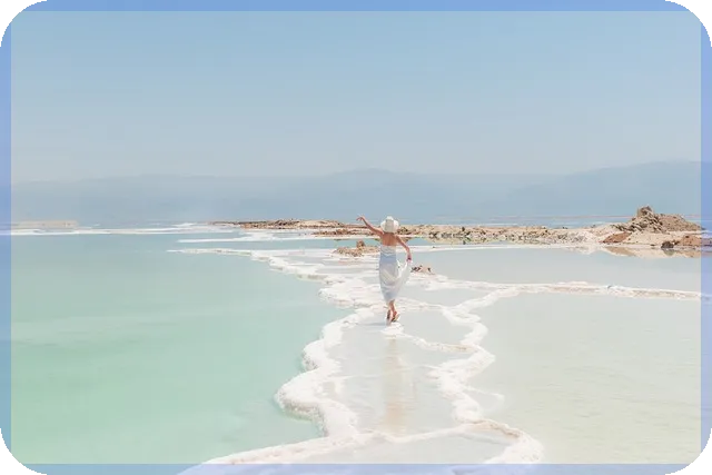 다스코주가 효과와 위험성 완벽 분석 무엇이 중요한가