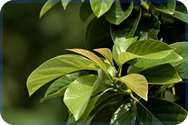 대출금리 인하 언제 현실화될까 통화정책 상승효과 분석