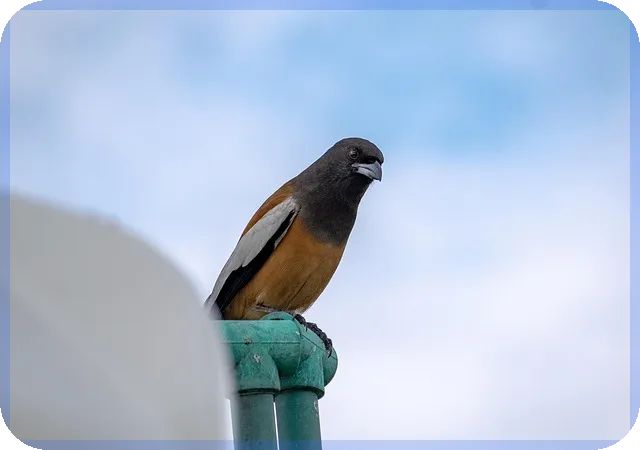 대출금리 인하 언제 현실화될까 통화정책 상승효과 분석