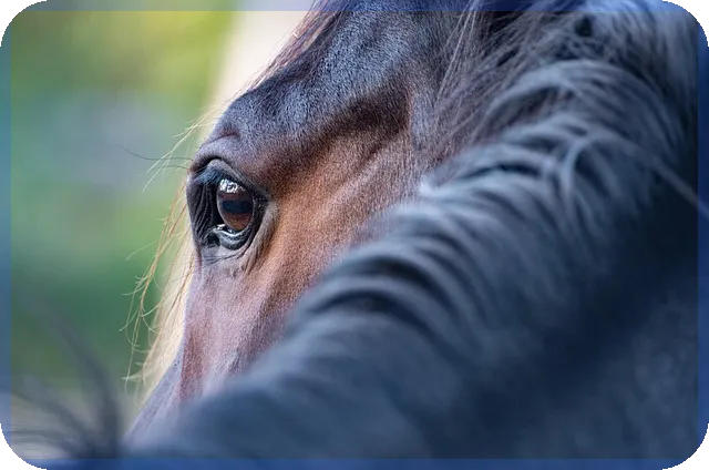 대출이자 저렴한 은행으로 금융 부담 줄이기 궁금증 해결