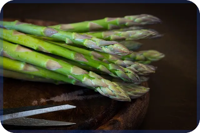 디딤돌대출 금리 계산기로 대출 조건 쉽게 파악하기