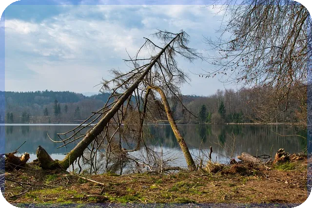 무직자 비상금대출 거절 이유와 대처법 궁금증 해결