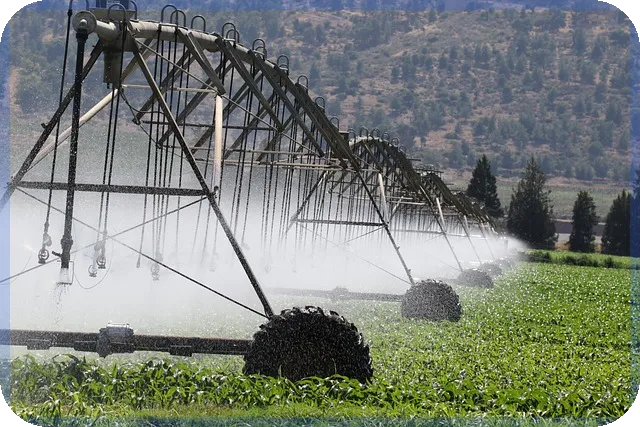 소상공인대출이자 중요한 정책금리와 지원혜택 탐구