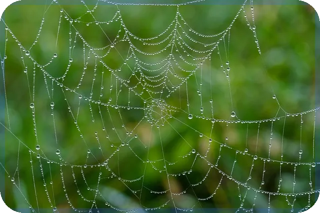 소상공인손실보상신청 바로가기 신청 방법과 절차