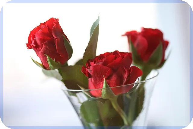 신용보증재단 소상공인대출과 개인회생 완전 정복