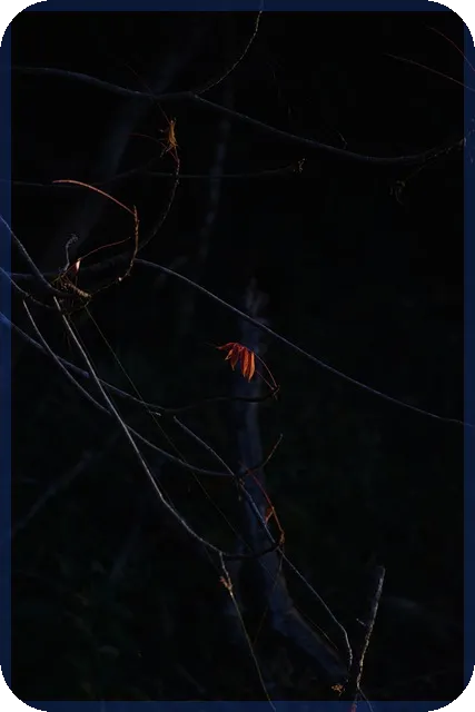 자연녹지지역 용적률 최신 규제와 실효성 분석