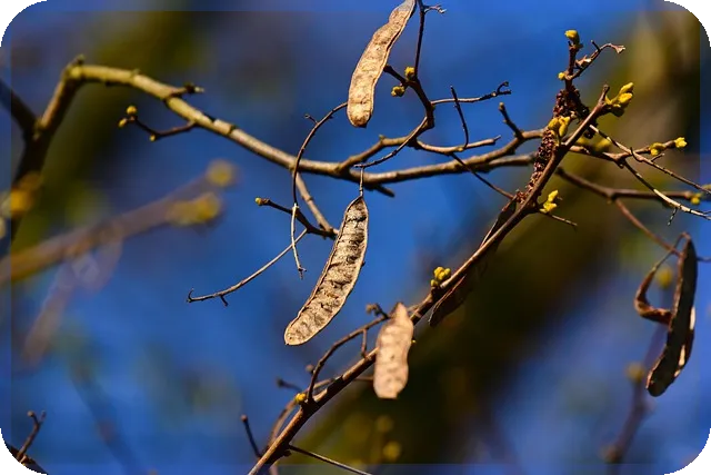 하나은행 주택담보대출 금리비교로 저금리 상품 찾기