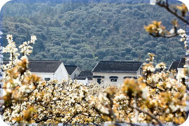 한국장학재단 학자금대출 실행 방법과 유의사항