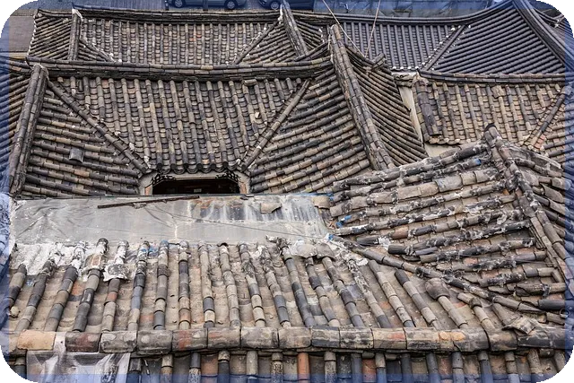 현금배당통지서 수령 방법과 주의사항 최신 가이드