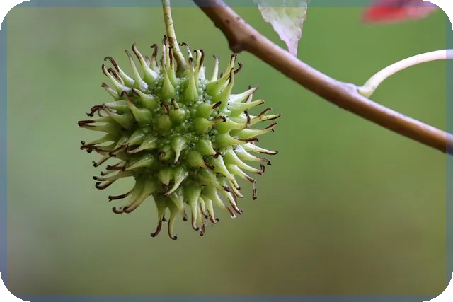 현금배당통지서 수령 방법과 주의사항 최신 가이드