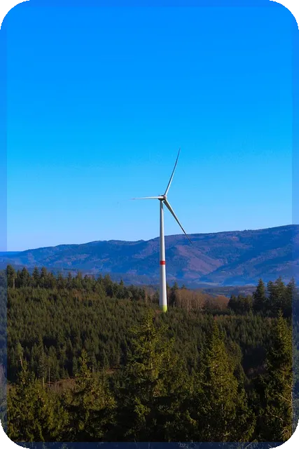 현대오일뱅크주식 투자전략과 산업동향 최신 분석