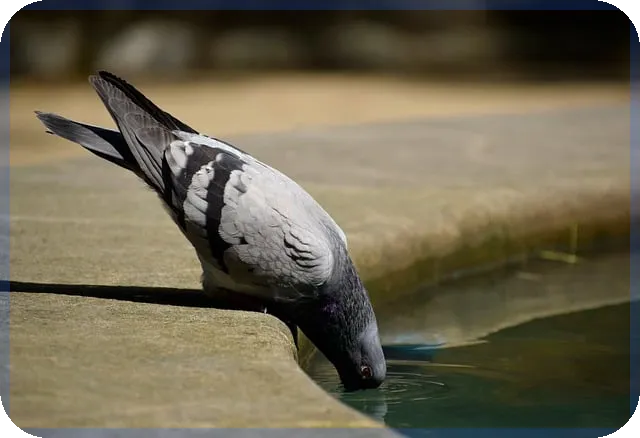근로자채무통합대출로 빚 관리 쉽게 할 수 있을까
