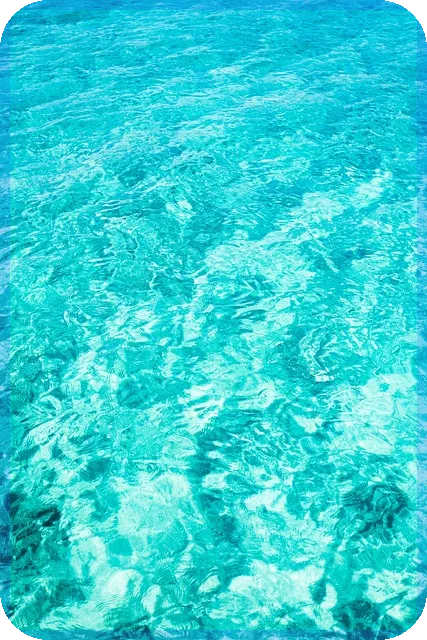 일본주식사는법 쉽게 배우는 팁과 방법