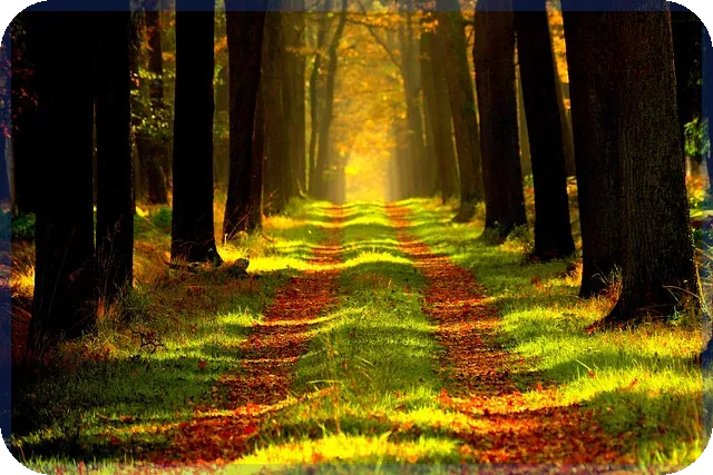 일본주식사는법 쉽게 배우는 팁과 방법