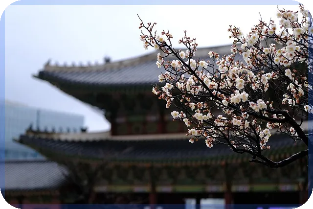 전세대출 대환 목적물변경 이사와 계약 변경 실전 가이드