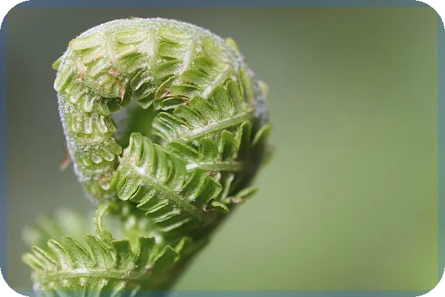 학자금대출취업후상환 성공 전략과 실전 노하우