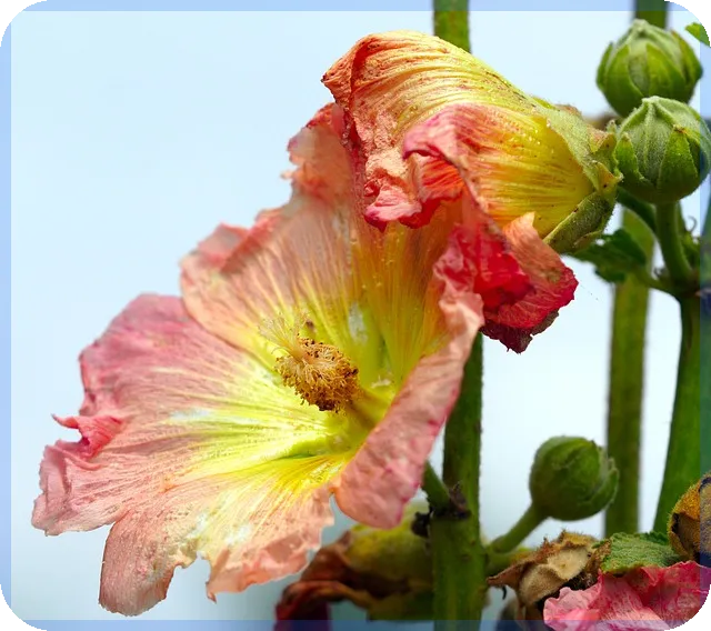 KT주가 전망 예측과 투자전략 분석