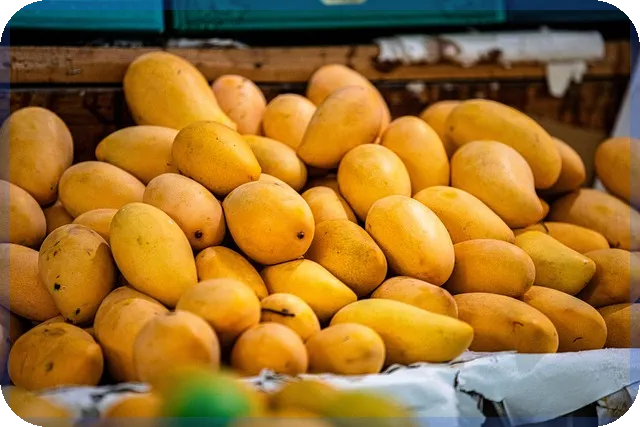 LG이노텍주가 향후 전망과 투자 전략은 무엇인가요