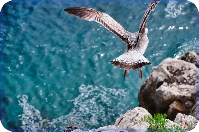 내일급등주 예측과 매매 전략성공 비법