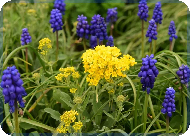 내일급등주 예측과 매매 전략성공 비법