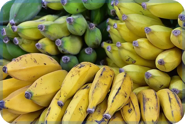 내일급등주 예측과 매매 전략성공 비법