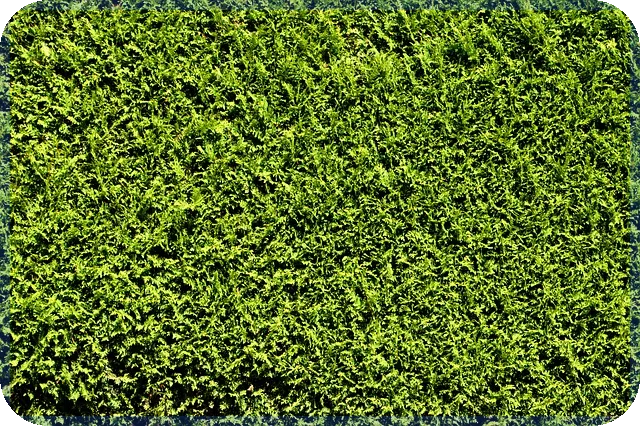 로보스탁 자동매매 소프트웨어 최적화 전략