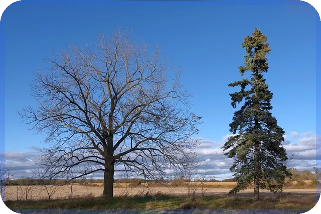 새마을금고금리비교로 최적 금융상품 찾기