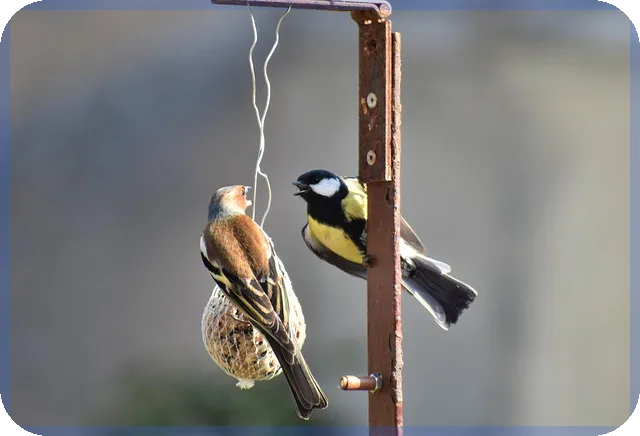 새마을금고금리비교로 최적 금융상품 찾기