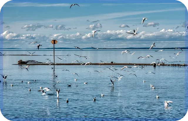 예금이자높은곳 찾기 최적 전략과 비교법