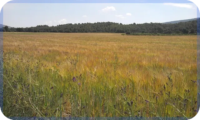 예금이자높은곳 찾기 최적 전략과 비교법