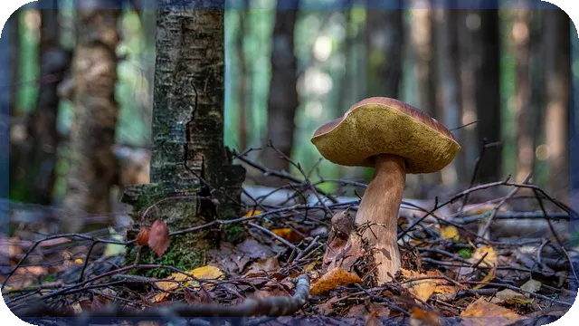 예금이자높은곳 찾기 최적 전략과 비교법