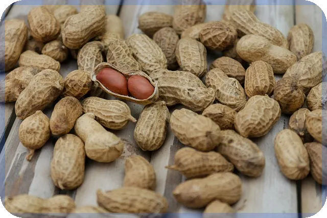 의료인대출 신한은행 닥터론 조건과 전략 알아보기