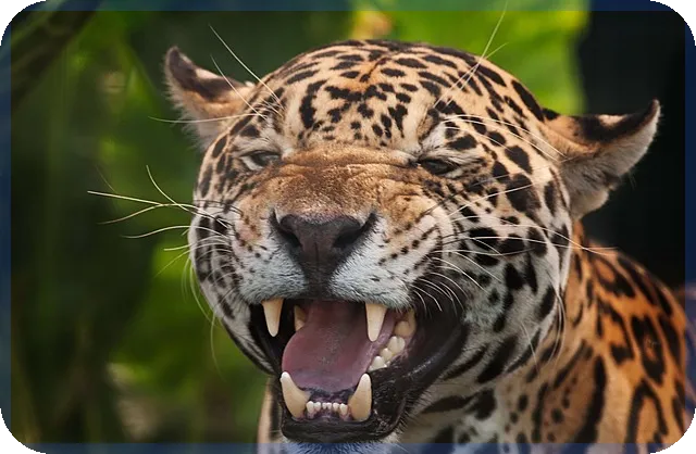 자동차일시불캐시백 최대 이득 노리기 핵심 전략