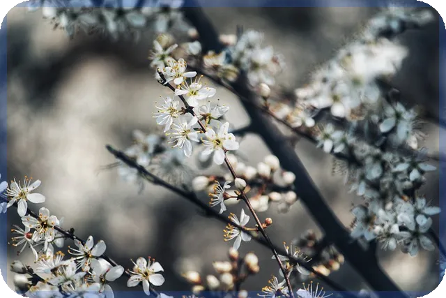 중년창업 성공 전략 알아보기 지금 시작하세요