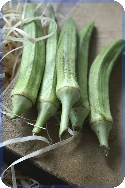 청년월세보증금대출 활용 핵심 팁과 신청 전략