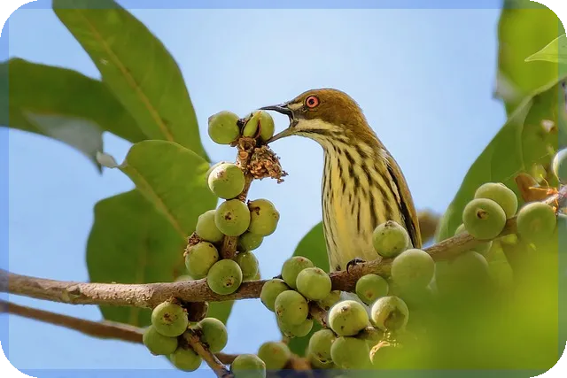 코미팜주가 상승세 전망과 기관 매도 현황 분석