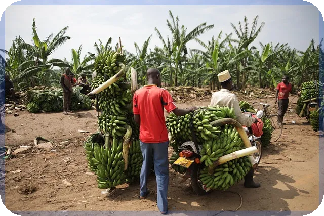 2000만원대중고차 추천과 구입 팁을 알아보자