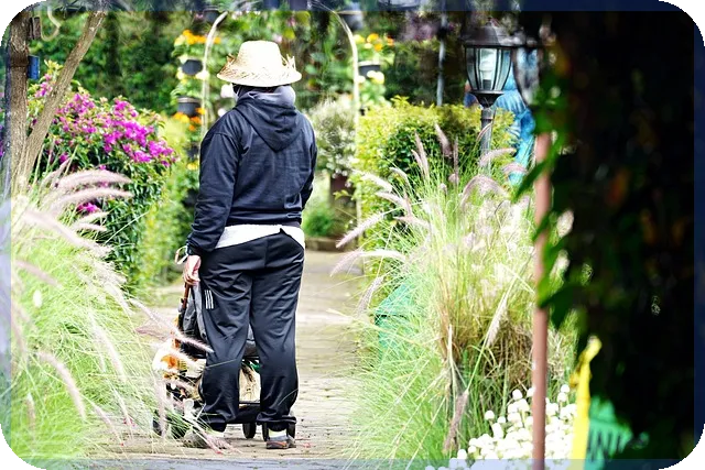 70대일자리 추천과 노후 활력 찾기 방법