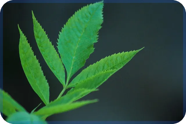 농협올원비상금대출 지금 신청하면 빠른 금전 해결