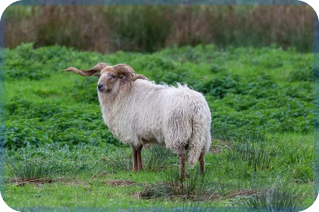 단기연체자대출가능한곳 안전하게 대처하는 법