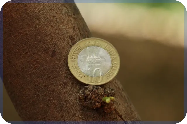 단기연체자대출가능한곳 안전하게 대처하는 법