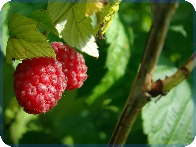 단기연체자대출가능한곳 안전하게 대처하는 법
