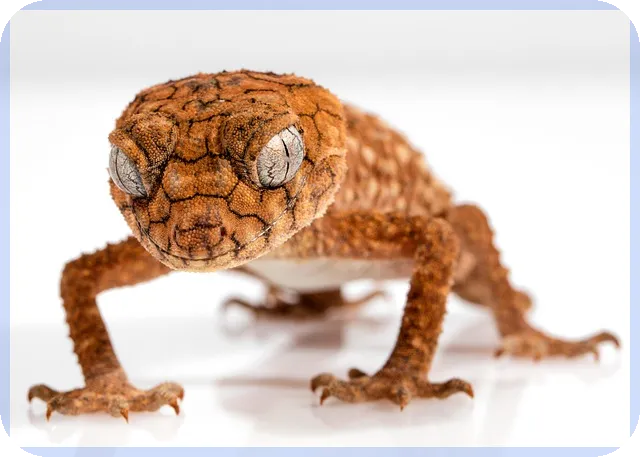 대부업조회 필수완전가이드 부동산 투자 안전하게 시작하는 방법