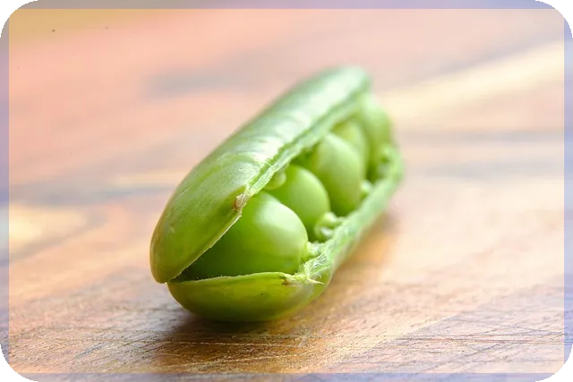 모바일비상금대출 무직자 신청 조건과 최적 선택법