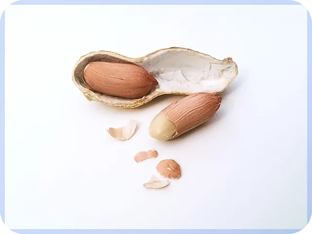 발행어음CMA 금리와 매수시간 전략 완전정복
