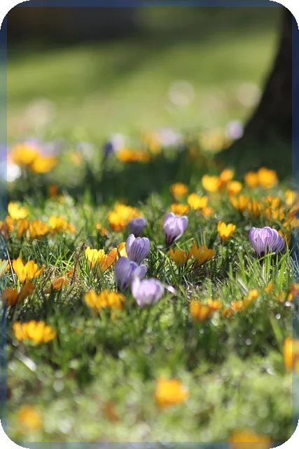 보험다보여로 현대해상 보험 빠르고 정확하게 조회하는 방법