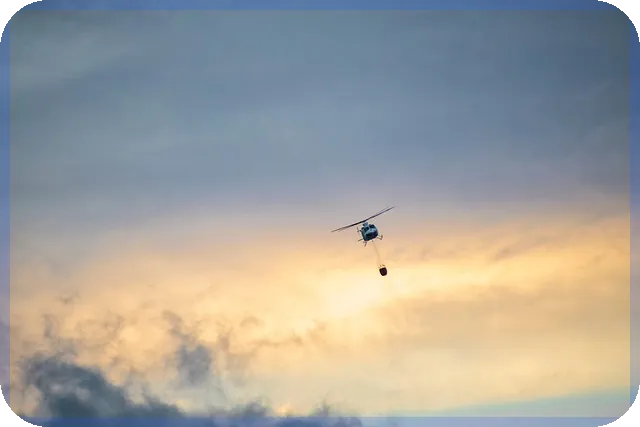 수제간식창업 성공 비밀 공개
