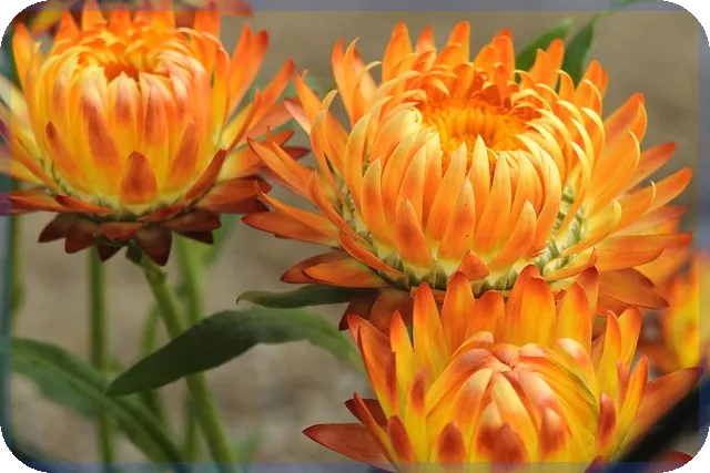 예금세금 절세 전략 은행별 추천상품 완전정리