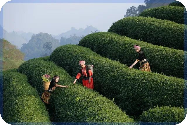 우유배달알바 9개월 경험과 유지비 팁 알아보기